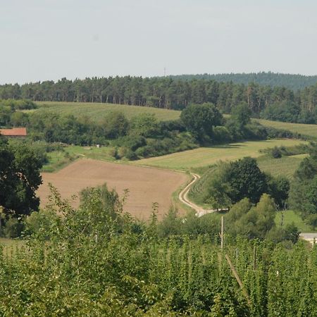Ferienwohnung Passivhaus "Schoene Aussicht" Georgensgmund Екстериор снимка