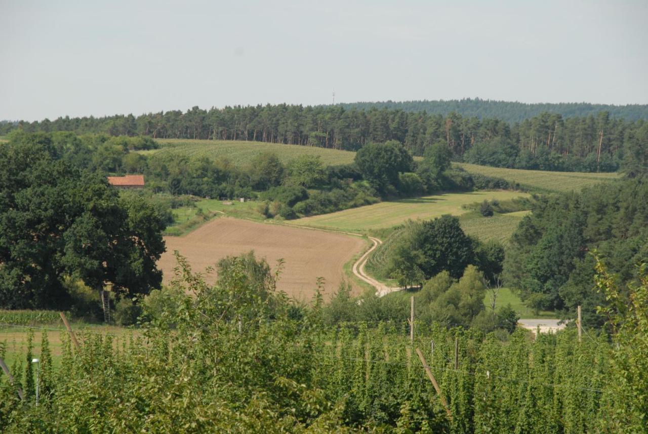 Ferienwohnung Passivhaus "Schoene Aussicht" Georgensgmund Екстериор снимка